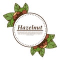 Vector hazelnut logo in cartoon style.